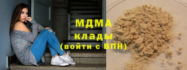 индика Кулебаки