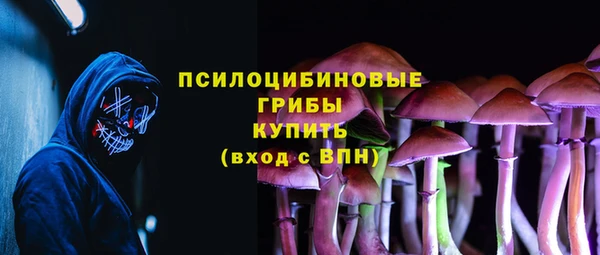 прущие грибы Краснослободск