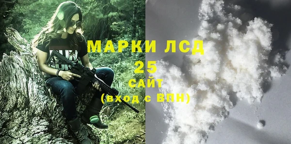 прущие грибы Краснослободск