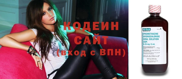 прущие грибы Кодинск