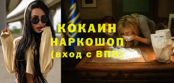 прущие грибы Краснослободск