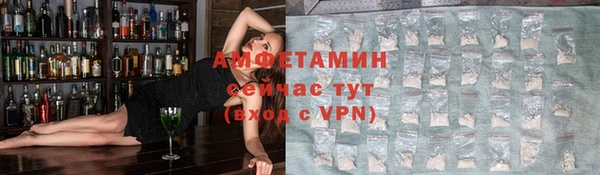 индика Кулебаки